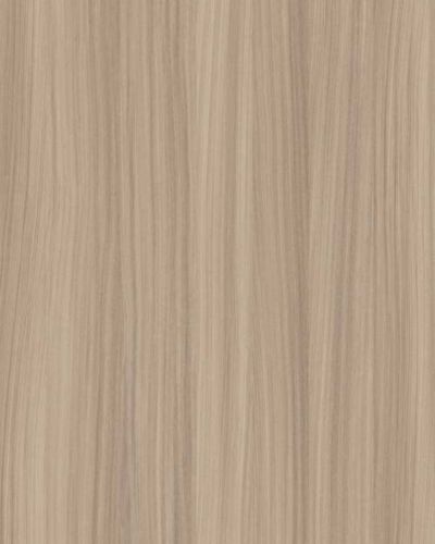 veneers6